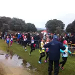 DOMINGO 20 NOVIEMBRE VI CTO MADRID RELEVOS DE CROSS