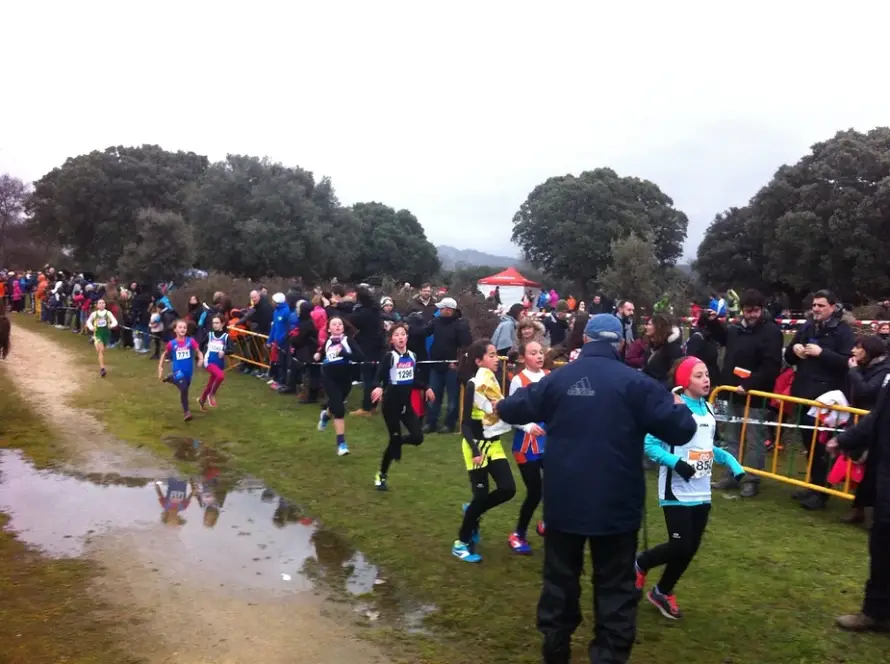 DOMINGO 20 NOVIEMBRE VI CTO MADRID RELEVOS DE CROSS
