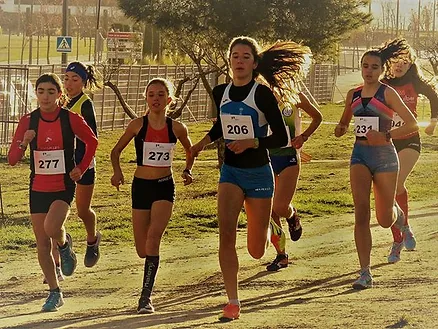 Atletimos